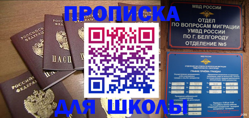 прописка гарантия в Черногорске